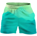 The Coolscape Shorts