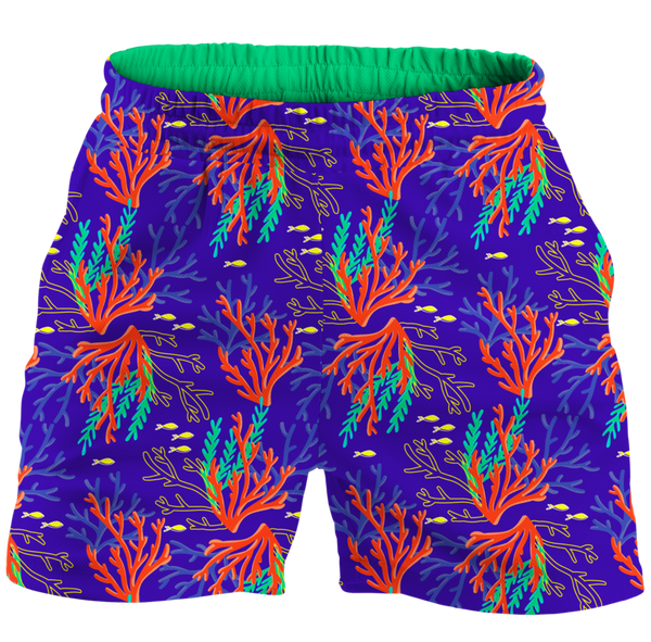 The Reef Explorer Spirit Shorts