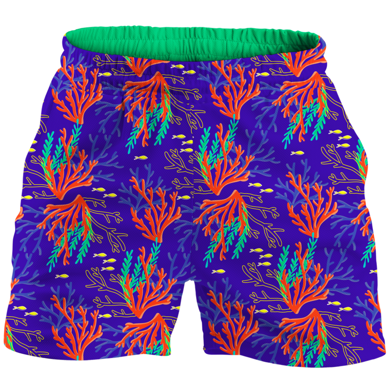 The Reef Explorer Spirit Shorts