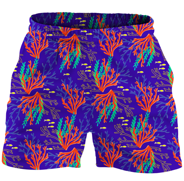 The Reef Explorer Spirit Shorts