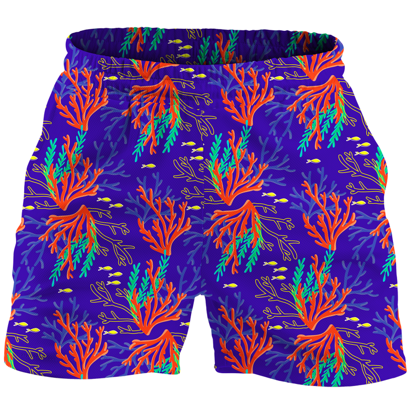 The Reef Explorer Spirit Shorts