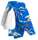 Aloha Spirit Shorts