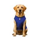 Seawolves Ultimate | Dog Shirt